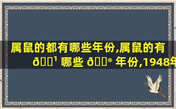 属鼠的都有哪些年份,属鼠的有 🌹 哪些 💮 年份,1948年是几岁